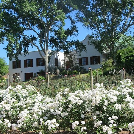 Aan-Den-Weg Villa Stellenbosch Eksteriør billede