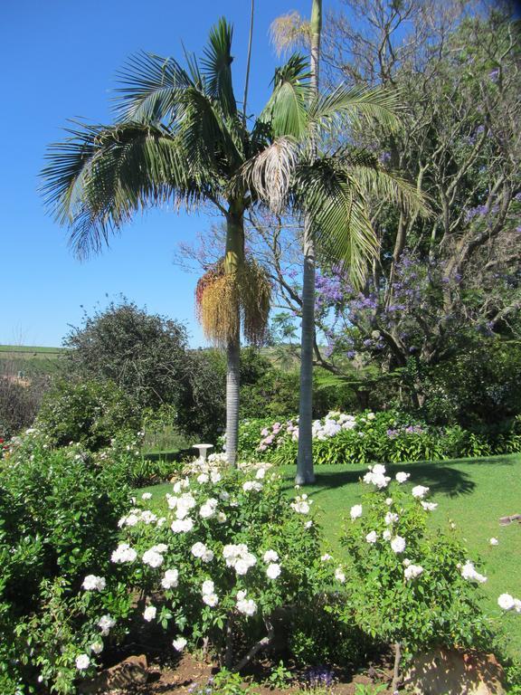 Aan-Den-Weg Villa Stellenbosch Eksteriør billede