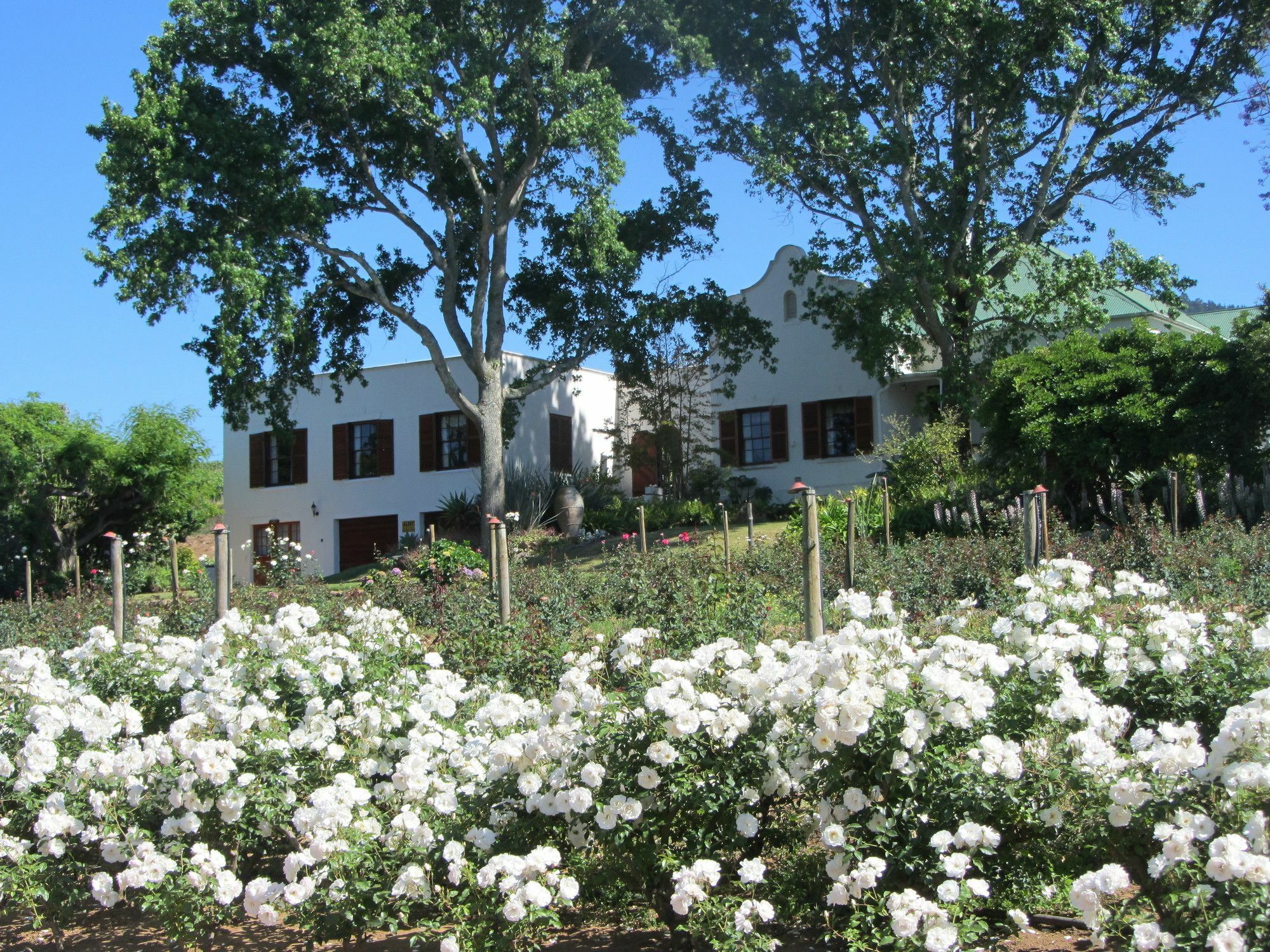 Aan-Den-Weg Villa Stellenbosch Eksteriør billede